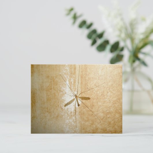 Crane Fly Postcard Postkarte (Stehend Vorderseite)