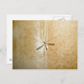 Crane Fly Postcard Postkarte (Vorne/Hinten)