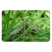 Crane Fly Premium Magnet (Horizontal)