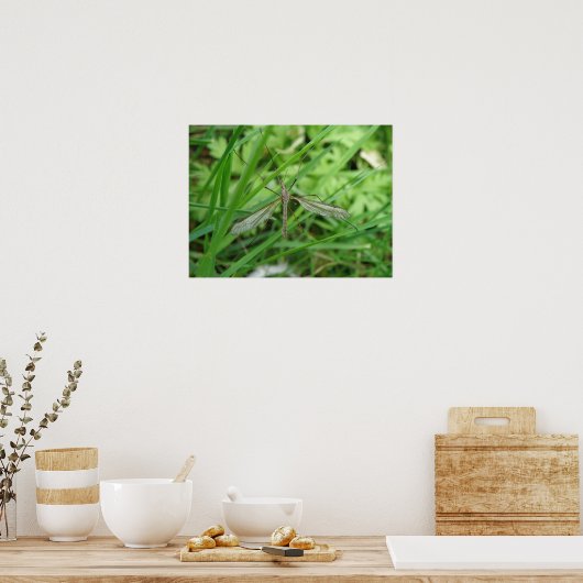 Crane Fly Print Poster (Küche)