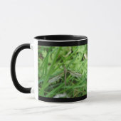 Crane Fly Tasse (Links)