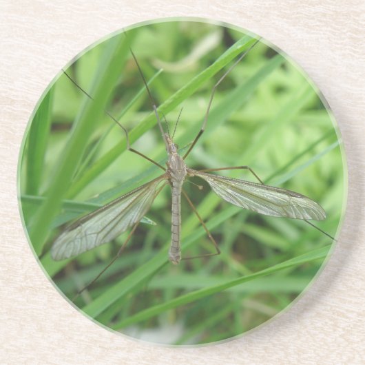 Crane Fly Untersetzer (Vorne)