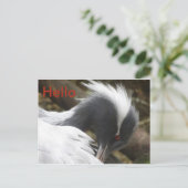 Crane Nah HELLO Postcard Postkarte (Stehend Vorderseite)