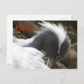 Crane Nah HELLO Postcard Postkarte (Vorne/Hinten)