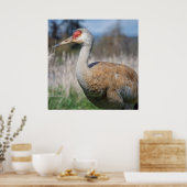 Crane View Poster (Küche)