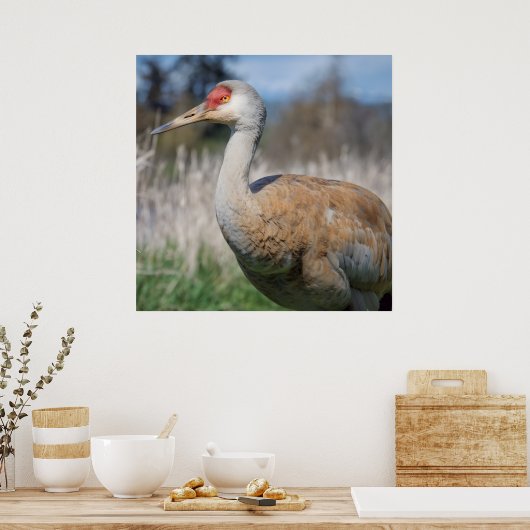 Crane View Poster (Küche)