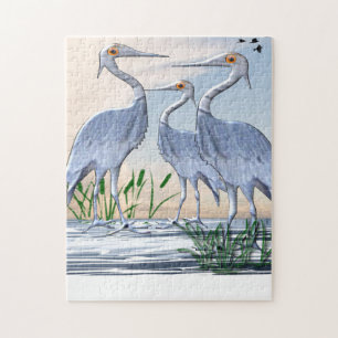 Cranes Puzzle
