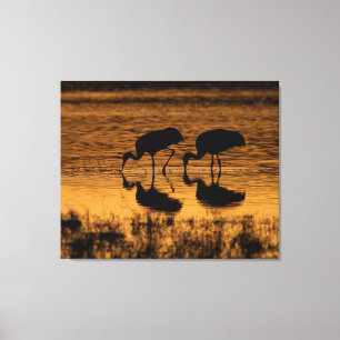 Cranes Silhouette vom Sonnenuntergang Leinwanddruck