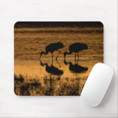 Cranes Silhouette vom Sonnenuntergang Mousepad (Mit Mouse)