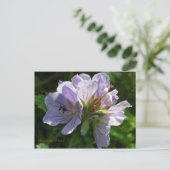 Cranesbill Geraniums, Insel Unalaska Postkarte (Stehend Vorderseite)