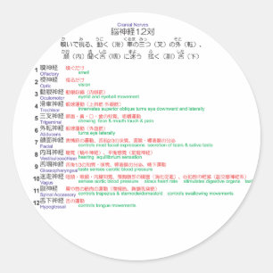 Cranial Nerves japanese 12 Runder Aufkleber