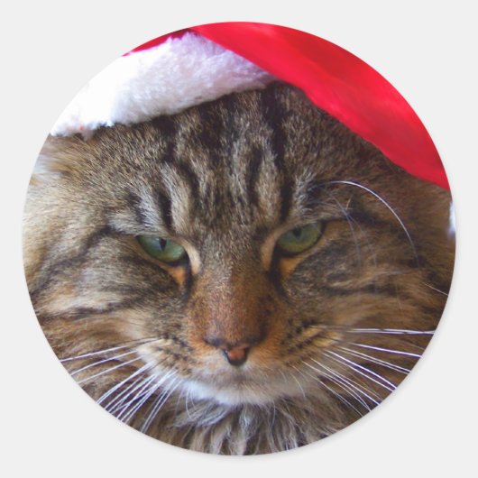 Cranky Christmas Cat Stickers (Vorderseite)