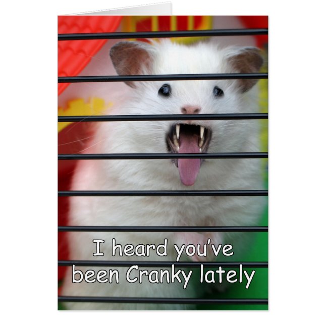 Cranky Critter (Vorne)