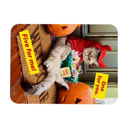 Cranky Devil Cat Magnet (Horizontal)