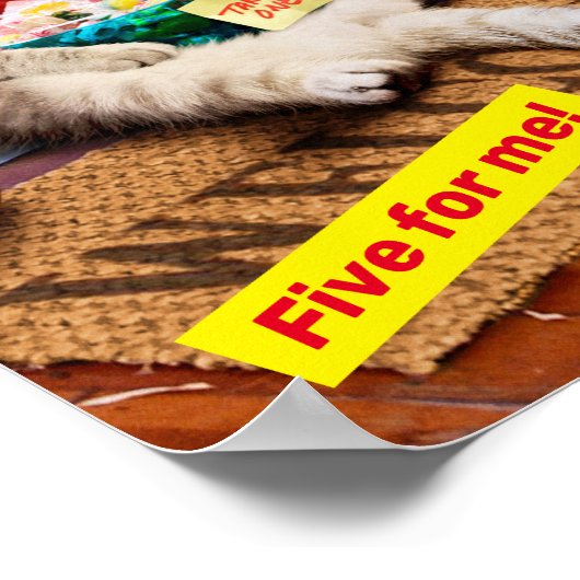 Cranky Devil Cat Poster (Ecke)