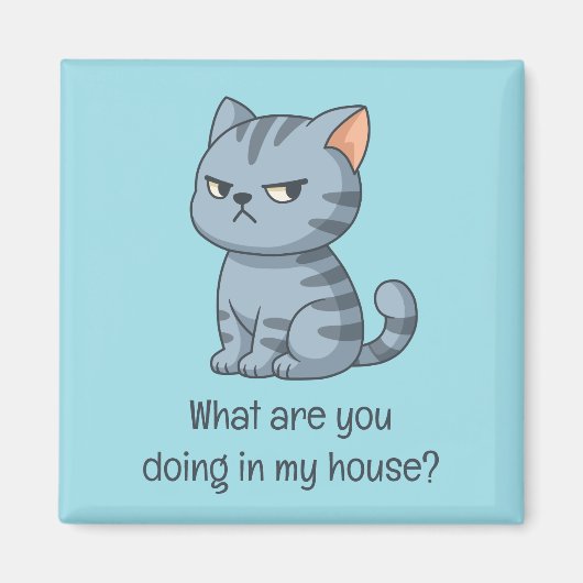 Cranky Grey Tabby Cat Funny Text Blue Magnet (Vorne)