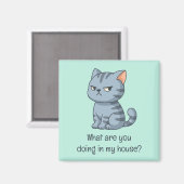 Cranky Grey Tabby Cat Funny Text Green Magnet (Vorderseite/Rückseite)