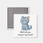 Cranky Grey Tabby Cat Funny Text Magnet (Vorderseite/Rückseite)