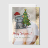 Cranky Grey Tabby Cat Red Hat Christmas Insert Pergament Einladungen (Versatz (Ehepaar))