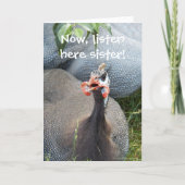 Cranky Guinea Fowl Foto Funny Birthday Karte (Vorderseite)