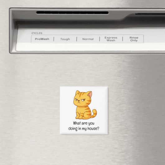Cranky Orange Tabby Cat Funny Text Magnet (In Situ (Geschirrspüler))
