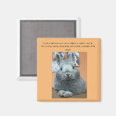 Cranky Rabbit Kühlschrankmagnet (Vorderseite/Rückseite)