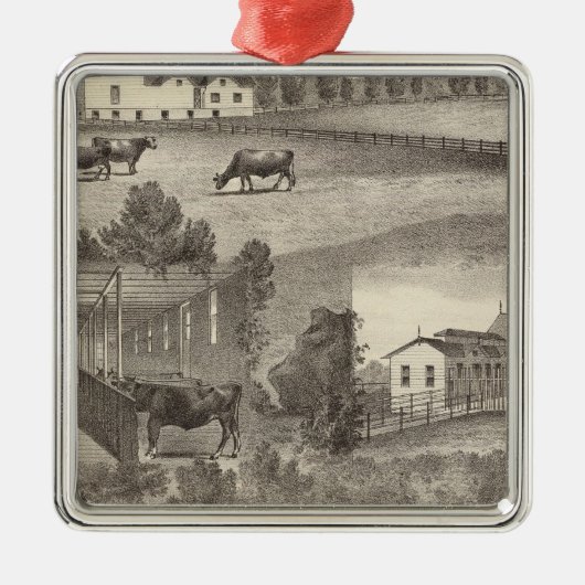 Cranmoor Bauernhof, Toms River, NJ Silbernes Ornament (Vorne)