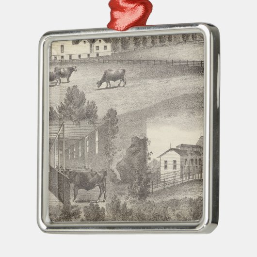 Cranmoor Bauernhof, Toms River, NJ Silbernes Ornament (Links)