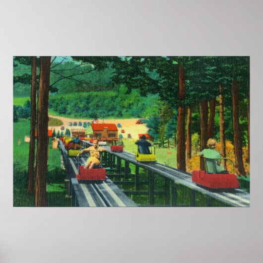 Cranmore Mountain Ski Mobile im Sommer Poster (Vorne)