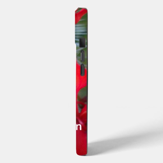 Cranston Case-Mate iPhone Hülle (Rückseite / Links)