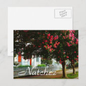 Crape Myrtle, Sommer in Natchez, MS Postkarte (Vorne/Hinten)