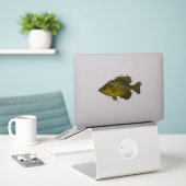 Crappie-Ausschnitt-Aufkleber Aufkleber (Laptop auf Schreibtisch)