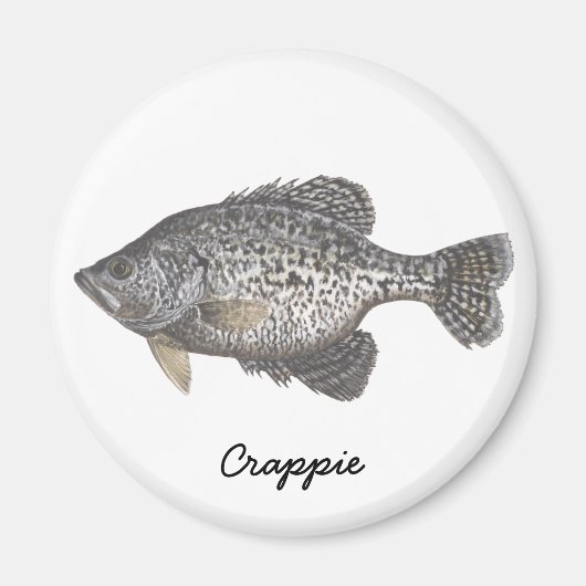 CRAPPIE, Crappie Magnet (Vorne)