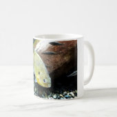 Crappie Kaffeetasse (VorderseiteRechts)