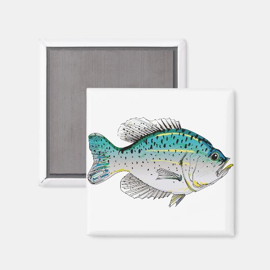 Crappie Magnet (Vorderseite/Rückseite)
