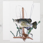 Crappie Mount (Vorne/Hinten)