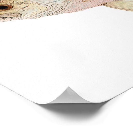 Crappie Poster (Ecke)