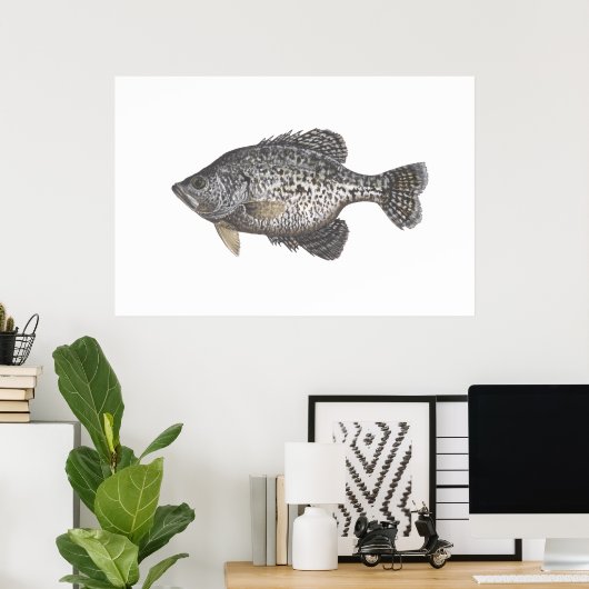 Crappie Poster (Heimbüro)