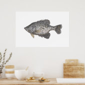 Crappie Poster (Küche)