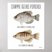 Crappie Poster (Vorne)