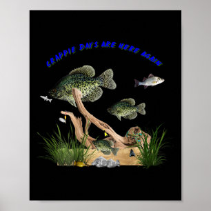 Crappie-Tage sind wieder da Spaß im Freien Angeln Poster