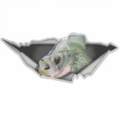 Crappy car decal, Crappy Aufkleber, Crappy zerriss Aufkleber (Vorderseite)