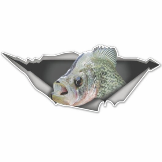 Crappy car decal, Crappy Aufkleber, Crappy zerriss Aufkleber (Vorderseite)