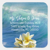 Crashwves Frangipani Rücksendeadresse Siegel Quadratischer Aufkleber (Vorderseite)