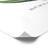 Crassula falcata poster (Ecke)