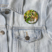 Crassula ovata Abzeichen Button (Beispiel)