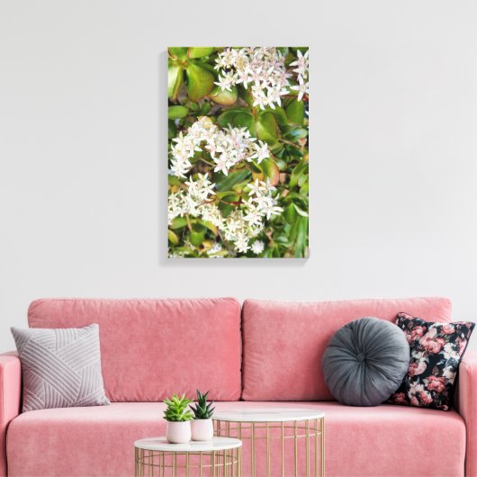 Crassula ovata leinwanddruck (Insitu (Wohnzimmer))