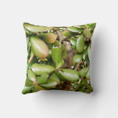 Crassula ovata Throw Cushion Kissen (Rückseite)