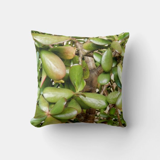 Crassula ovata Throw Cushion Kissen (Vorderseite)