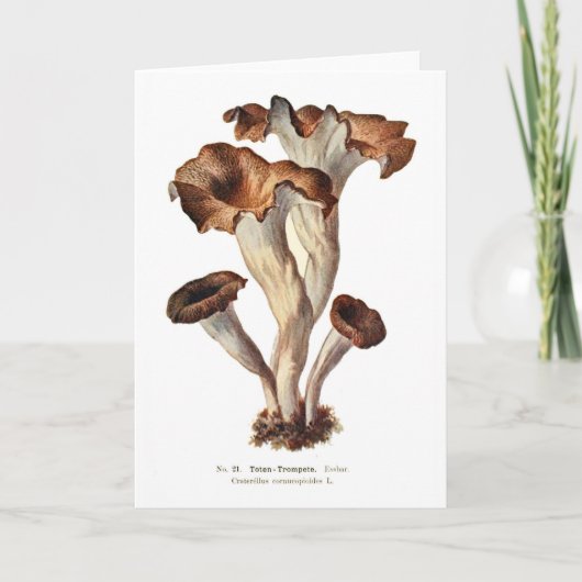 Craterellus cornucopioides karte (Vorderseite)